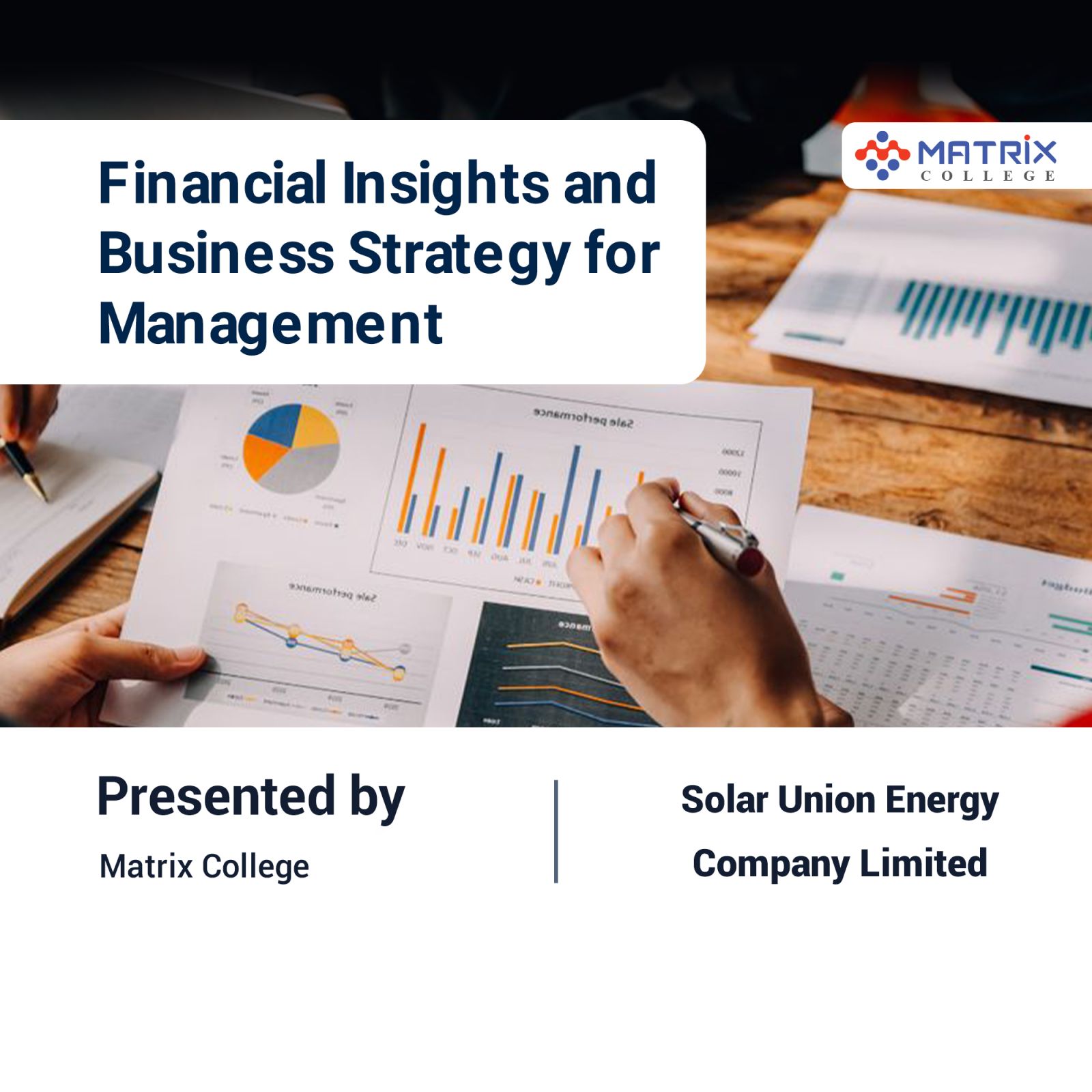 Financial Insights and Business Strategy : Solar Union Energy Company Limited